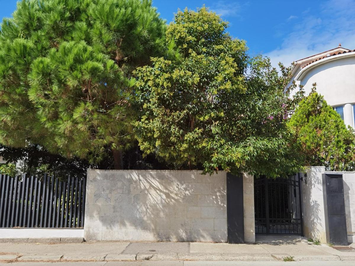 Apartment Pine And Lime