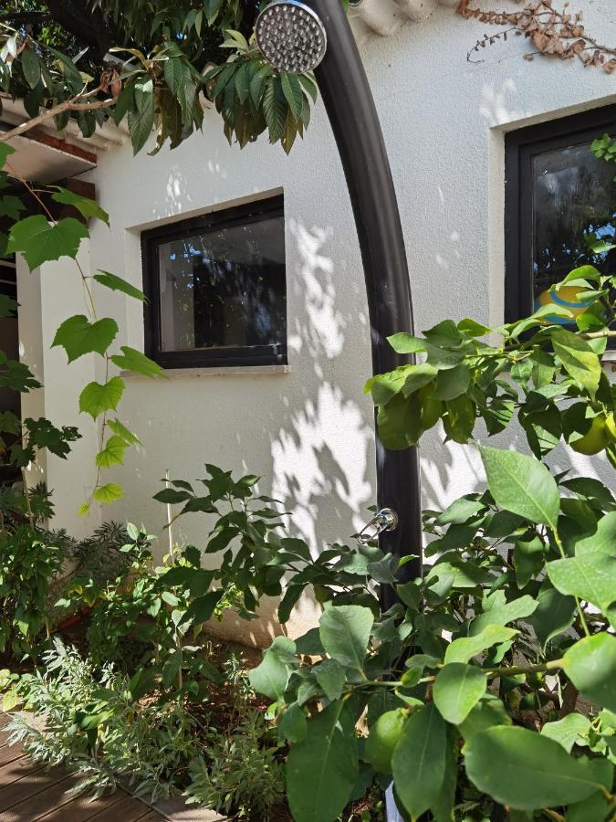 Apartment Pine And Lime Pula